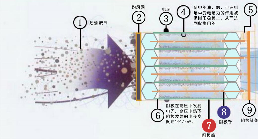 亚洲狼人精品一区二区三区
