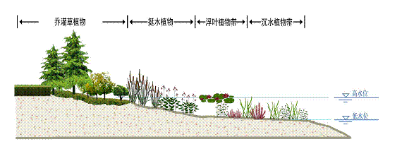 亚洲狼人精品一区二区三区