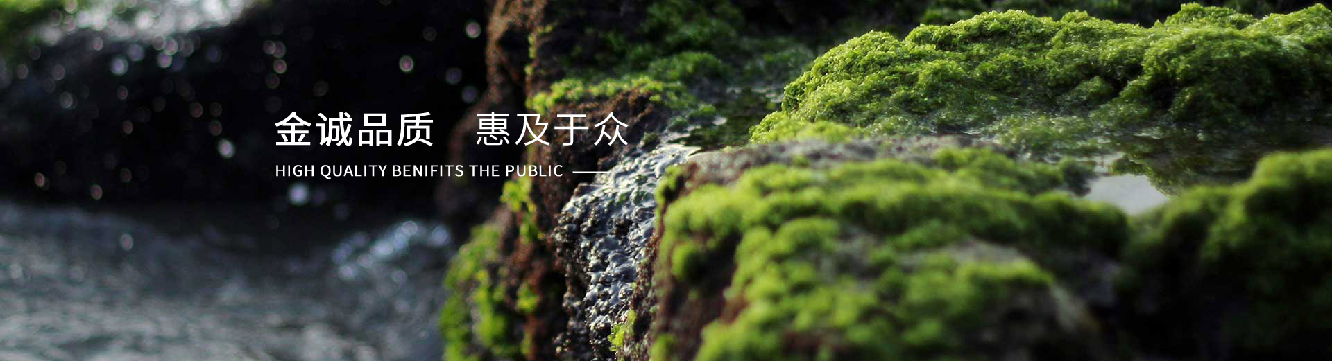 首页banner2