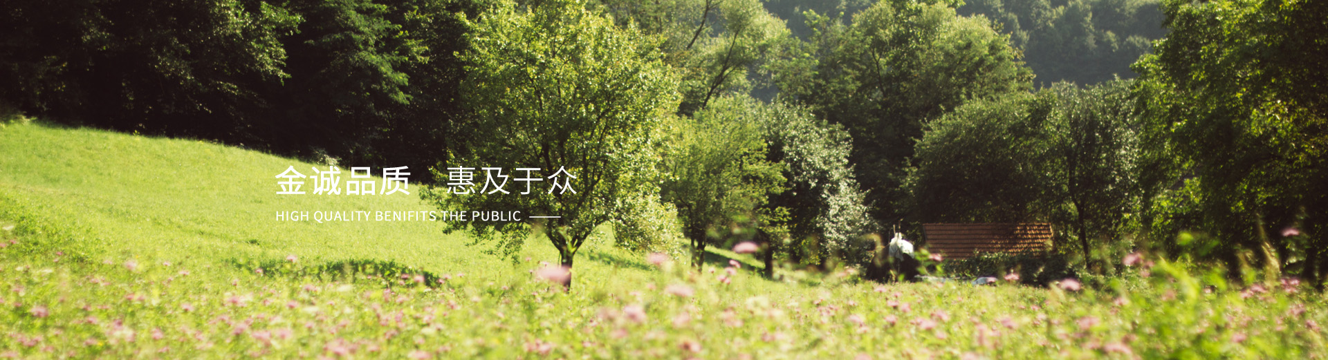首页banner3